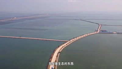 刺參工業(yè)化養(yǎng)殖技術(shù)研發(fā) 突破種業(yè)‘卡脖子’難題，推動海水養(yǎng)殖創(chuàng)新發(fā)展