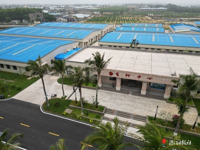 深耕藍色糧倉 以技術創新驅動海水養殖高質量發展，守護人民“舌尖上的幸?！? class=