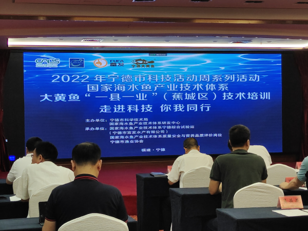 寧德聚力大黃魚“一縣一業(yè)” 技術(shù)培訓(xùn)與研發(fā)雙輪驅(qū)動，引領(lǐng)海水養(yǎng)殖新篇章