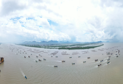 向海而興 大灣區(qū)以科技創(chuàng)新擦亮海水養(yǎng)殖“藍色名片”